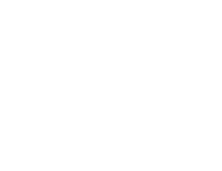 VIP TPO Logo