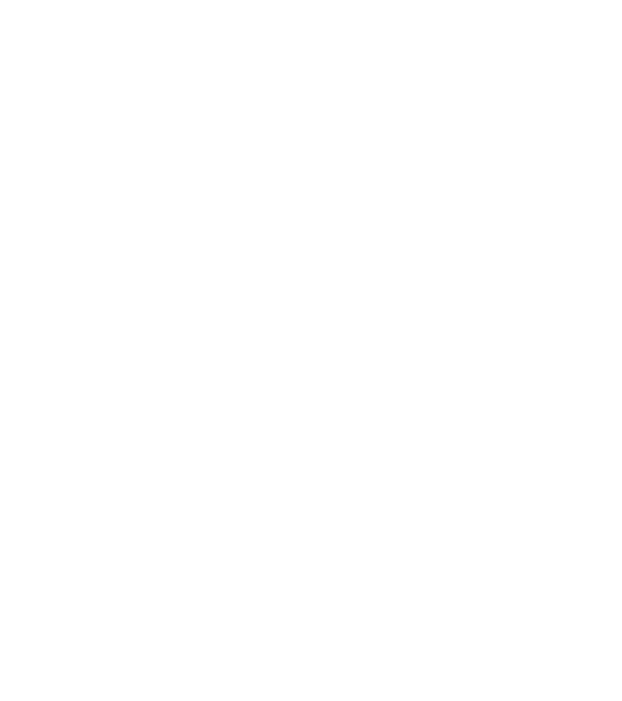 vip mortgage inc tpo logo